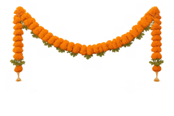 Marigold garland toran hanging, traditional indian floral decoration for festivals and weddings, isolated on transparent background