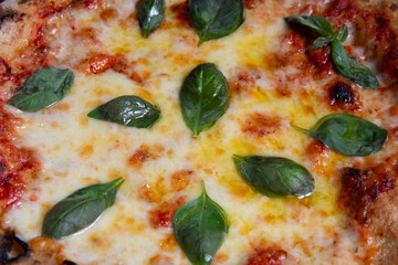 primer plano de pizza de queso con albahaca estilo capresse