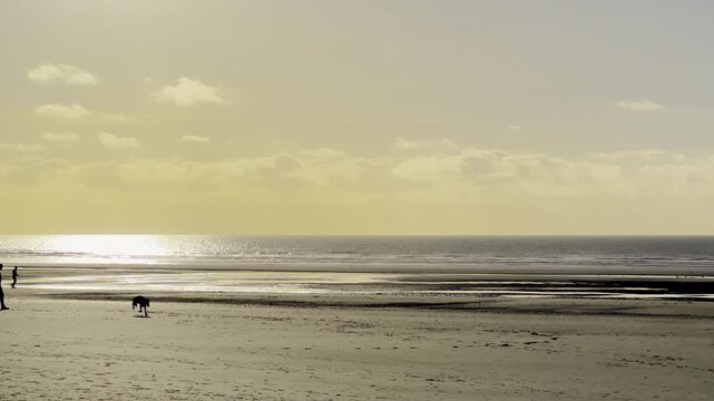Silhouette of man walking dog on wide sandy beach at golden sunset, shimmering sea horizon and low tide reflections, peaceful coastal evening in France