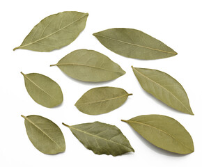 Fototapeta premium whole dry bay leaves isolated on white background