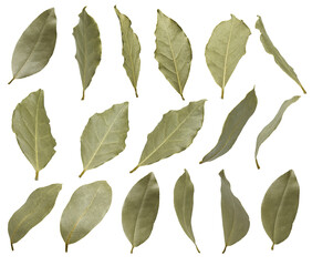 whole dry bay leaves isolated on white background