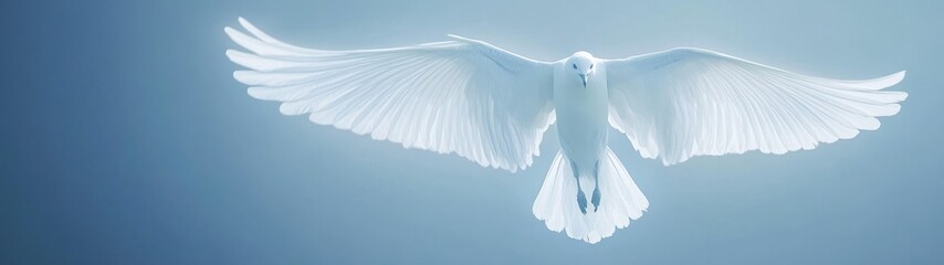 Majestic White Dove Soaring Gracefully Against a Serene Blue Sky