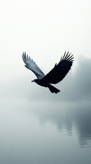 Powerful Eagle Silhouette Gliding Above Calm Water in Hazy Light