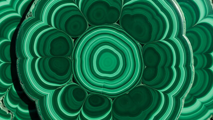 Mesmerizing macro of polished green malachite stone slices featuring concentric bands and a glass-smooth, reflective surface. Ideal for luxury backgrounds, natural product packaging,