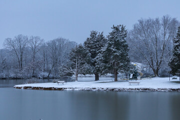 trees covered in snow on lake