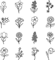 Minimal Spring and Summer Flower Vector Icons Black and White Line Art for Floral Design and Decoration