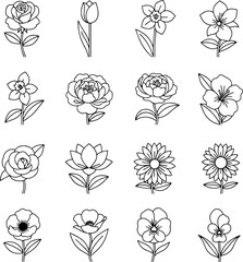 Minimal Spring and Summer Flower Vector Icons Black and White Line Art for Floral Design and Decoration