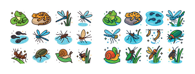 Colorful cartoon amphibian and insect life cycle with frogs dragonflies snails beetles