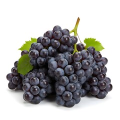 Fototapeta premium Bunch of grapes