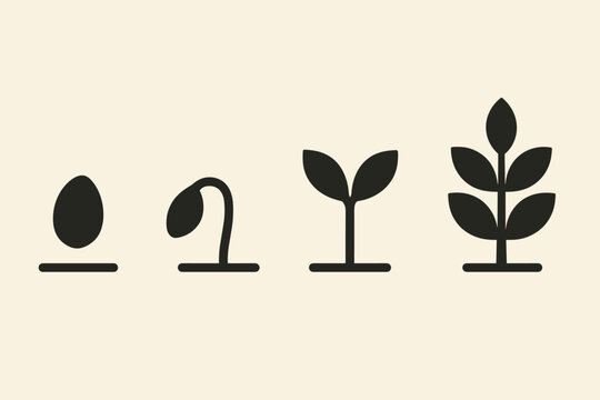 Growth stages: seed to plant silhouette