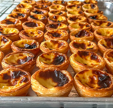 Freshly Baked Pastis de Nata Traditional Portuguese Custard Tarts