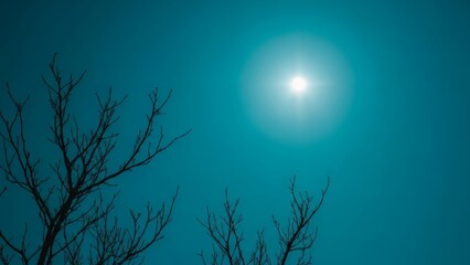 Beneath the ethereal glow of the full moon, skeletal branches reach into the vast night sky, creating a captivating and serene nocturnal landscape