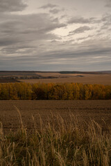 Fototapeta premium Vertical view of autumn farm fields and golden forest under dramatic overcast sky in rural Ukraine