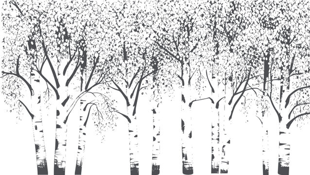 Dense birch tree forest in monochrome line style with intricate branches trees