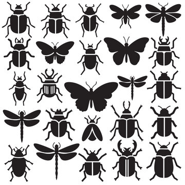Collection of assorted beetles and flying insects isolated on transparent background