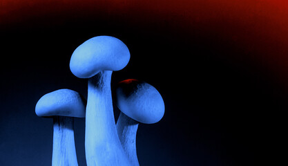 Conceptual food photography of shimeji mushrooms in dramatic blue and red neon lighting against black background, minimal composition, suitable for futuristic food, science or psychedelic themes.
