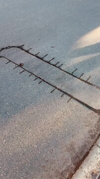 Place of selection of the kernel in the form of a rectangular from asphalt concrete pavement. Kern. Close-up.