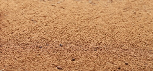 Closeup pile cinnamon minced and grated background, side view