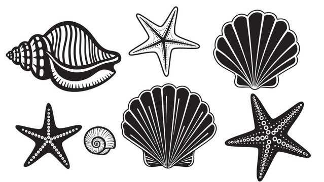 Collection of sea creature and shell vector illustrations isolated