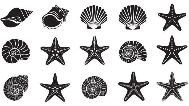 Collection of seashell and starfish vector illustrations isolated