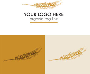 Vector logo design with vintage hand-drawn illustration barley wheat sprig, branding for brewery or farming 
