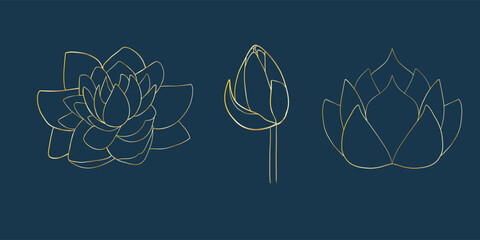 Golden line lotus set element isolated, blossom flower, graphic style, botany ethnic vector flat