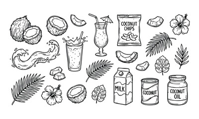 Coconut elements in hand drawn illustration style with black and white color scheme on clean white background for packaging design