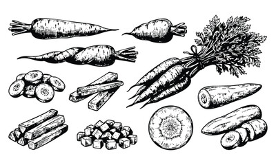 Assorted Root Vegetables in Hand-Drawn Illustrations with Detailed Textures in Black and White for Culinary Use