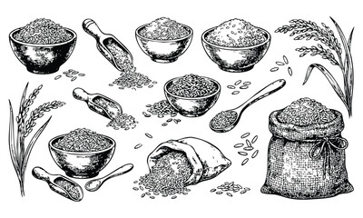Wheat grains in various bowls and sack with rustic wooden spoons in vintage black and white illustration for agricultural design