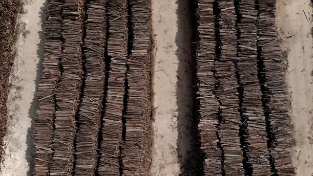Workers sort and stack logs in rows at a logging site. This activity takes place during daylight hours. The area is part of a large forest in Germany.