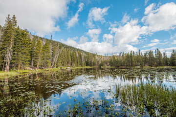 Beautiful landscape at Nymph Lake in Rocky Mountain National Park