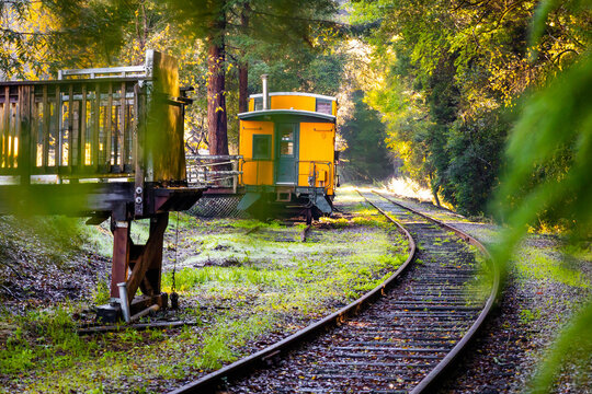 Roaring Camp Railroad train in Henry Cowell Redwoods State park
