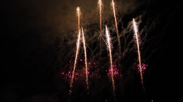Wedding fireworks explode in the night sky
