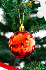 Red Christmas Ornaments Hanging on Green Pine Tree Branch