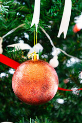 Red Christmas Ornaments Hanging on Green Pine Tree Branch