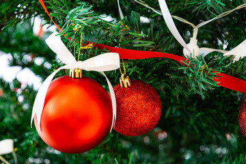 Red Christmas Ornaments Hanging on Green Pine Tree Branch