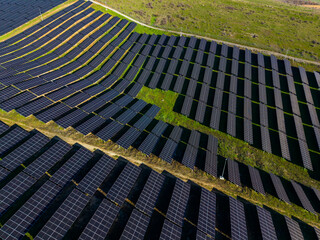 Solar panels cover a large area on a sunny day in a green field located in an open landscape with minimal trees and structures nearby