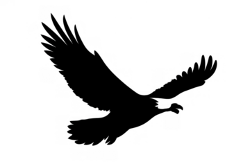 Eagle silhouette flying with wings spread, symbolizing freedom, power, and nature, isolated on transparent background