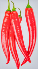 Fresh Chili Pepper Isolated on White Background, Spicy Red Fruit with Glossy Skin and Hot Flavor for Cooking Concept