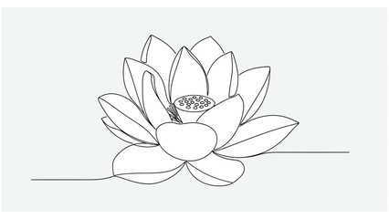 line drawing lotus flower