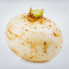 Fresh Jicama Root Isolated on White Background, Crunchy White Vegetable Used in Salads and Healthy Snack Concept