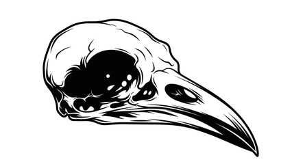 Obraz premium Stylized black and white illustration of a raven skull with intricate detailing and bold lines