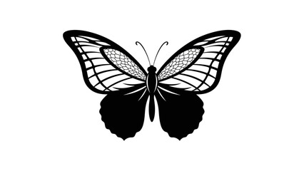 Fototapeta premium Elegant black silhouette of a butterfly with detailed wings showcasing intricate patterns and