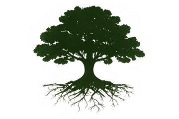 Green tree silhouette with intricate roots and full crown, depicting environmental balance, sustainability, and life cycle concepts