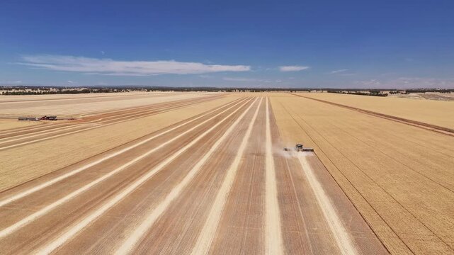 Yellow combine harvester moving through dry wheat paddock and kicking up some dust
