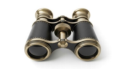 Vintage Binoculars: Classic binoculars with brass accents, capturing the essence of exploration and discovery. A timeless item