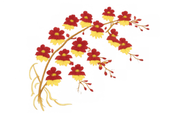 Botanical illustration with vibrant red and yellow blooms and budding branches creating a decorative floral design element