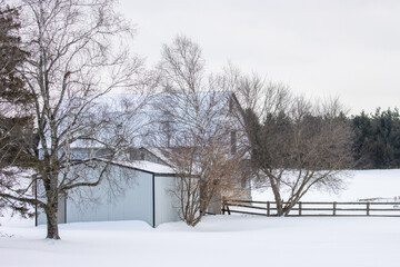 Winter farm