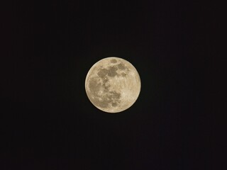 Tokyo,Japan - January 3, 2026: The full moon on winter at dusk
