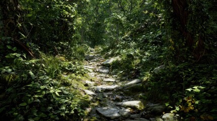 Fototapeta premium A sunlit forest path winds through lush vegetation, dappled with sunlight, showcasing a tranquil and natural scene.